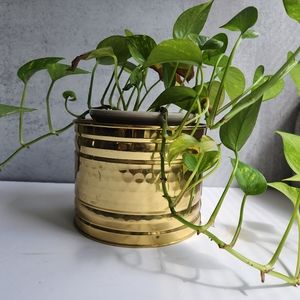 Brass planter flower pot